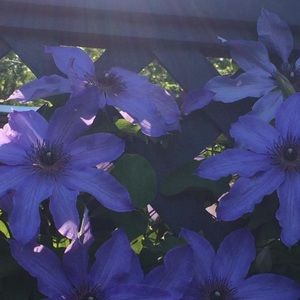 Meet your Posher, Barbara